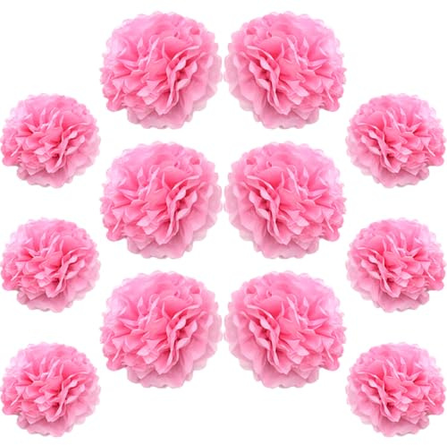 Ruidee 12 Pieces Tissue Paper Pompoms 10in and 12in Hanging Tissue Flowers Decorations Colour Paper Flower Ball Paper Flowers Pom Poms for Party Wedding Decoration (ZH/Pink)