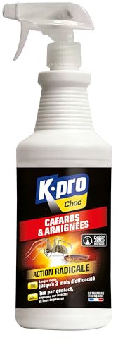 K.PRO CHOC - Spray Aérosol Anti Cafards et Araignées - Action Radicale - Effet Longue Durée - Facile d'utilisation - Technique Professionnelle - 1l