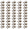 RDNKVB 50pcs Acciaio Inossidabile Clip di Fissaggio di Vetri per Serra Accessori per Serre Perfetto in Vetro Casa a Sezione Cava Piastre
