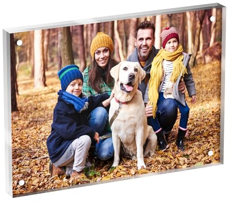 Neatsure 5x7 Acrylic Picture Frame 1 Pack, Clear Freestanding Double Sided Frameless Magnetic Photo Frames, Desktop Display Decor Gift