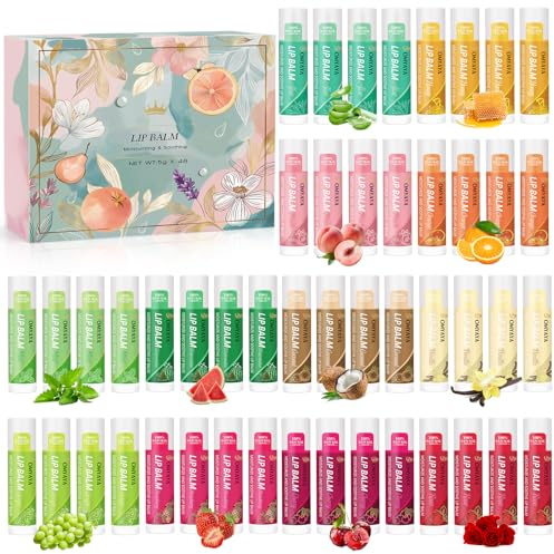 48 Stück Lippenpflege Set, Lippenbalsam Set mit 12 Düft für Trockene Rissige Lippen, Moisturizing Lippenbalsam Lippenpflege Kleine Geschenke für Frauen Männer Geburtstag Valentinstag Muttertag