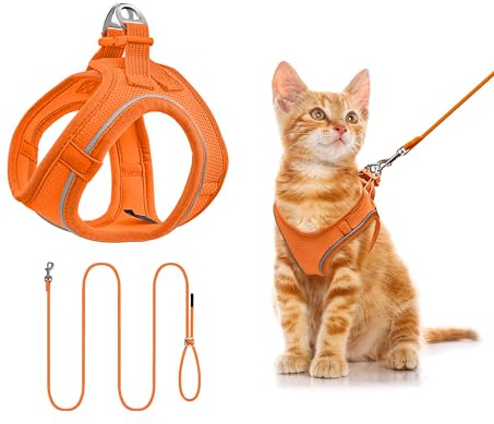 Arnés para Gatos con Correa 255cm XS (Pecho 31-38cm) Naranja