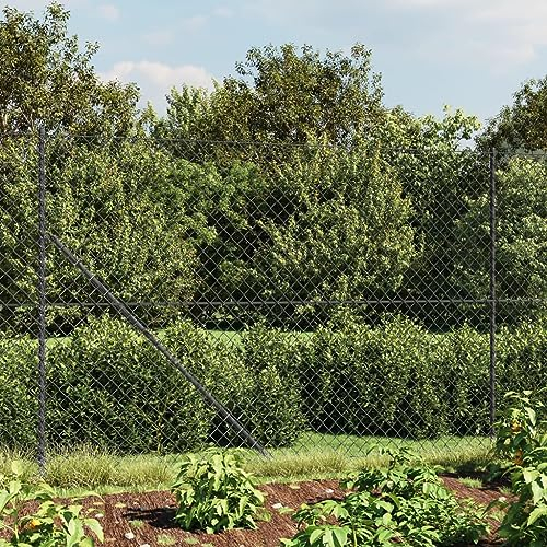 FENLAX Maschendrahtzaun mit Bodenhülsen 2,2x25m Anthrazit Schutzumzäunung Kleintierzaun Gartenzaun Vielseitige Maschendrahtzaun für Garten Pflanzenschutzgitter Tiergeheges Sicheren Dauerhaften Zauns