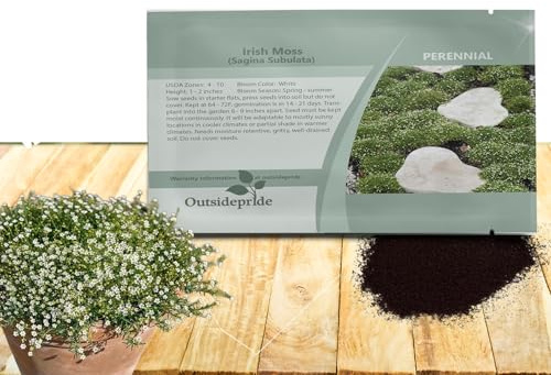 Outsidepride Irish Moss Ground Cover Seeds - 10000 Pcs Perennial Low Growing, Mat-Forming Lawn Alternative, Outdoor Ground Cover Seeds with Shade Tolerance, Ideal for Pathways and Rock Gardens