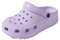 R-ISLAND Zuecos Plataformas para Mujer,Adulto,Hecho con EVA,Ligeras,Genial para Playa,Casa Exterior y Interior.(Morado 36)