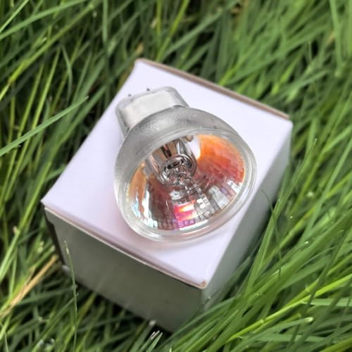 LISOCLU ¡Bombilla halógena GZ4 -Lámpara halógena de ahorro de energía GZ4 MR-8 para su sala de estar! Ideal como pequeño faro para excelentes condiciones de luz!(10W/6V)