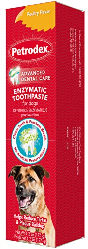 Petrodex Toothpaste For Dogs