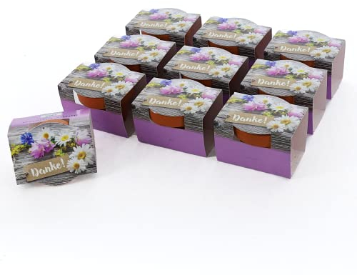 Bull & Bear 10er Set Mini-Pflanzset 'Danke', 10x Blumensamen im Topf 4,5cm, Mini Blumen als Anzuchtset mit Pflegeanleitung