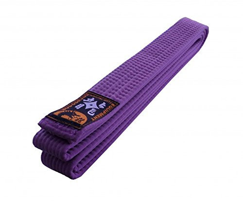 Budodrake Karategürtel Judogürtel Taekwondogürtel violett (180)