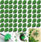 Paquete de 40 Clips Soporte para Plantas Trepadoras Exterior | Autoadhesivo, Reutilizable y Ajustable | Ideal para Tallos Frágiles, Enredaderas, Jardín, Balcón, Plantas Pequeñas (Verde)