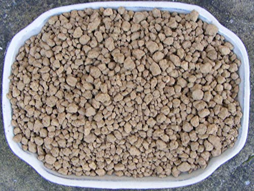 2 Bonsai Akadama Soil Liter : Package Contatins seeds