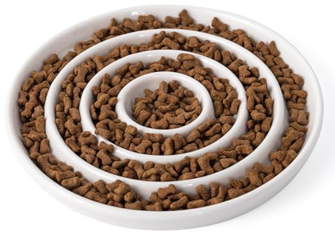 Slow Feeder Ceramic Cat Shallow Bowl, Pet Slow Eating Plate Anti Vomiting Whisker Friendly Cat Bowl Cute Maze Cats Food Dish For Dry Wet Food