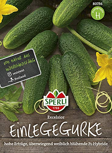 Sperli 80736 Pepino Excelsior F1 Hybrid Pepino