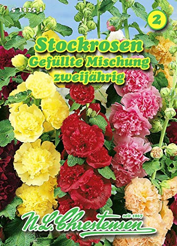 Alcea rosea, Stockrosen, Gefüllte Mischung N.L.Chrestensen Samen 511251-B