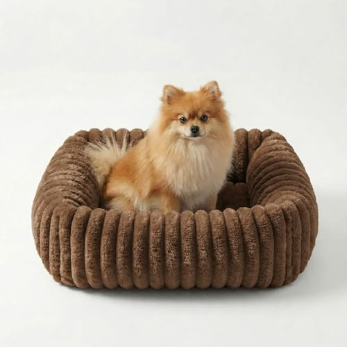 CareCooo Cuccia per Cane Interno Taglia Piccola, Letto Rettangolare Sfoderabile e Lavabile, Cuscino Morbido, Divano Comodo e Antiscivolo, Marrone, S (51x48x15cm)