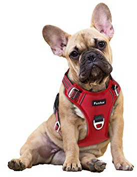 Funfox Hundegeschirr Kleine Hunde [S] - Anti Zug Welpengeschirr mit Griff & Ringreflektoren, Atmungsaktives Verstellbares No Pull Brustgeschirr für Kleine/Mittelgroße Hunde Outdoor Rot