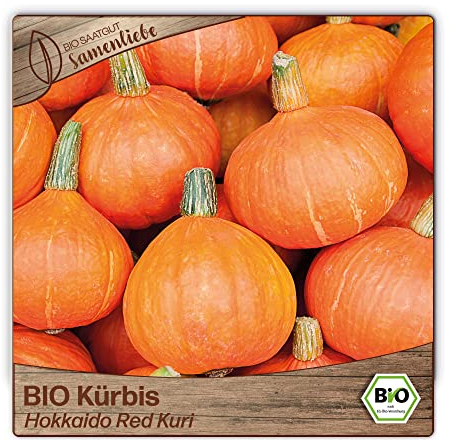 Samenliebe BIO Hokkaido-Kürbis Samen alte Sorte Hokkaido Red Kuri 10 Samen samenfestes Gemüse Saatgut für Gewächshaus und Freiland BIO Gemüsesamen