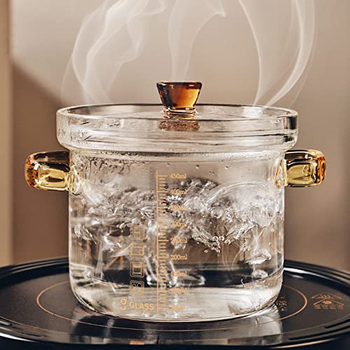 Eachave 0.45L/15.8oz Olla de Cristal para Sopa, Olla de Sopa de Vidrio para Placa de Inducción, Olla Multifuncional de Vidrio Transparente de con Tapa para Ensalada, Sopa de Pasta y Leche