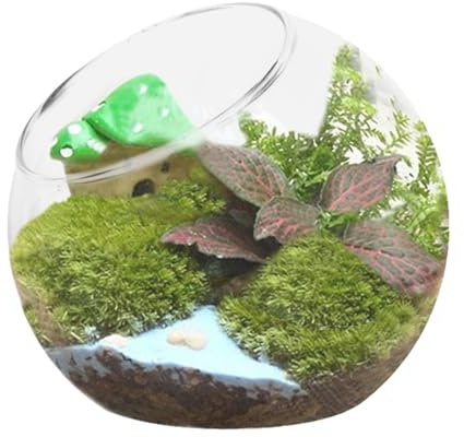 Terrariumglas – hängande kristallvägg | praktisk rund terrarium fiskskål | glasvas | blomkruka – för vardagsrum, matbord och sovrum
