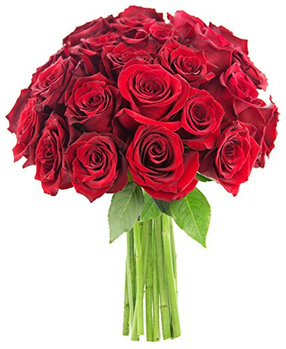KaBloom PRIME NEXT DAY DELIVERY - Bouquet of 25, Romantic Red Roses .Gift for Birthday, Sympathy, Anniversary, Get Well, Thank You, Valentine, Mother’s Day Fresh Flowers
