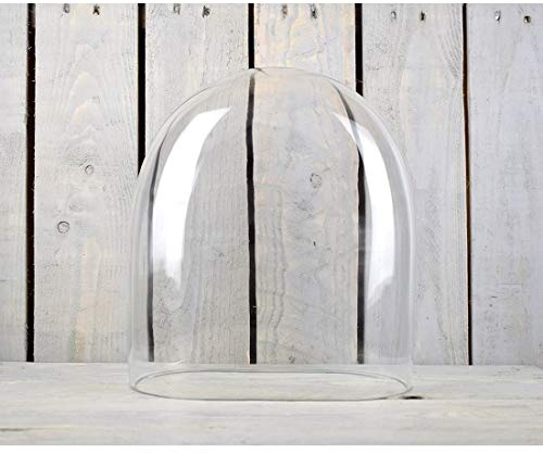 EMH Handgefertigte Glasglocke mit Mundgeblasen, oval, 30 cm