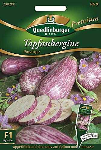 Quedlinburger 290200 Topfaubergine Pinstripe F1 (Auberginensamen)