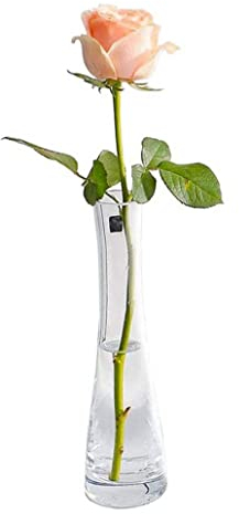 VASANA Jarrón de cristal soplado hecho a mano para decoración del hogar y la oficina, centro de mesa para bodas, fiestas y eventos