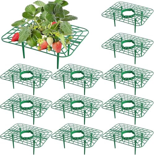 GIONAR 12 Packs Square Strawberry Supports - Strawberry Growing Racks - Plant Support Strawberry Stand Holder Growing Frame Keep Berries Clean