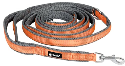 Petlando Hundeleine Outdoor – stark reflektierend, 3-Fach verstellbare Führleine, mit Karabiner-Verschluss, zum Umhängen geeignet, Robustes Material – Orange, Größe M 300 x 2,5cm