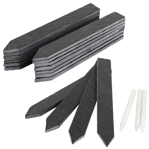 SHUESS Lot de 30 étiquettes pour plantes en ardoise (15 x 2 cm) – Réutilisables pour herbes, légumes et fleurs – Étiquettes durables pour l'extérieur résistantes aux intempéries