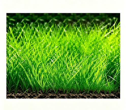 Saterkali Graines d'herbe d'eau d'aquarium, 100pcs graines d'herbe d'eau d'aquarium décor de paysage de plante hydrophile de réservoir de poissons Grosses graines poilues