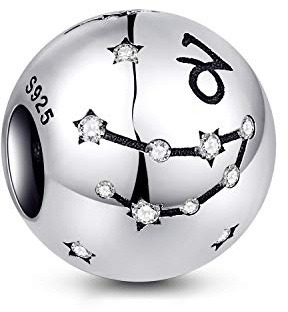 NINGAN Le Capricorne 12 signe du zodiaque charmes d'anniversaire - charmes en argent sterling 925 s'adapte à Bracelet & collier - cadeaux d'anniversaire merilleur pour les femmes & les amis