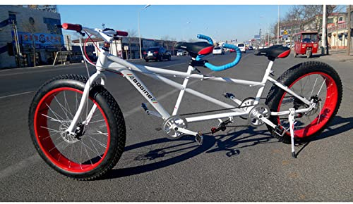 Lanying Two Seater Fat Tire 26in Single Speed Steel Tandem Bicycle NEW