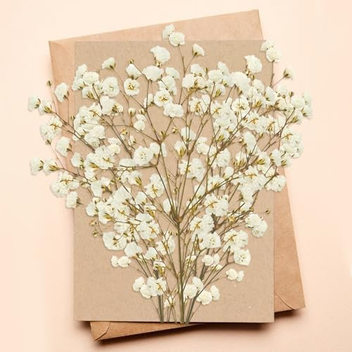 Dried Gypsophila Flowers, White Gypsophila Dried Flowers for Diy Arts Resin Scrapbooking Jewelry Making Floral Decorations