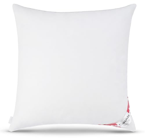 Bach's Betten Welt Canada Daunenkissen 5 Sterne Hotel Kopfkissen 80x80 cm 100% Natur Qualität Klasse 1