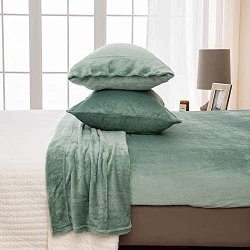 Great Bay Home 3-Piece Velvet Plush Micro Fleece Twin Size Sheet Set - Deluxe Microplush Non-Pilling Bed Sheets- Lavish Sherpa Winter Bedding Set (Jade)
