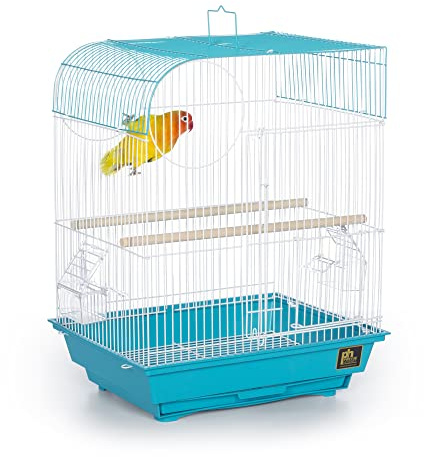 Prevue Pet Products South Beach Flat Top Bird Cage - Ideal for Finches, Canaries, Budgies, and Similarly Sized Birds, Minimal Assembly, Made of Powder-Coated Steel Wire Mesh - Teal