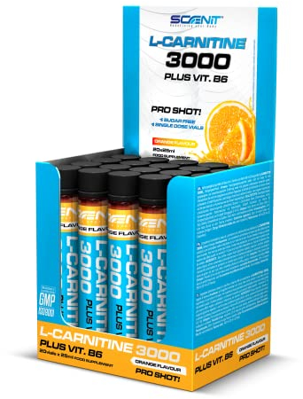 L Carnitin Liquid - L Carnitin 3000 - L Carnitin Ampullen - L-Carnitin Liquid - L-Carnitin Hochdosiert - L Karnitin 3000 mg (20 Einheiten à 25 ml) (Orange)