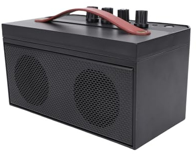 Dilwe Guitar Amplifier, 30W BT 5.0 Combo with Reverb & Headphone Jack Compact Amp for Acoustic Guitar Practice & Street Performance