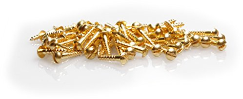 100 tornillos mini para madera DIN 96 (cabeza semicircular con ranura), latón, 2 x 8 mm, para modelismo o restauración