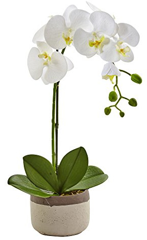 Nearly Natural Phalaenopsis Orchid in Ceramic Pot