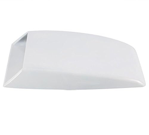 Tubo di aspirazione dell'aria dell'auto Adesivo decorativo per sfiato per auto, coperchio per cofano, presa d'aria, presa d'aria