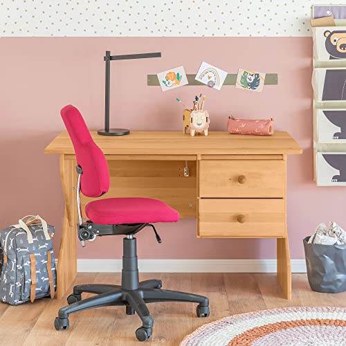 BioKinder Kinderschreibtisch Schülerschreibtisch Emil mit Schubladen höhenverstellbar & neigbar aus zertifiziertem Massivholz Erle 120 x 60 x 63-75 cm