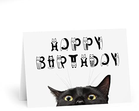 Birthday Card with Black Cat - Cute Greeting for Cat Lovers - 'Happy Birthday' Cat Font - 6 x 8 Inch