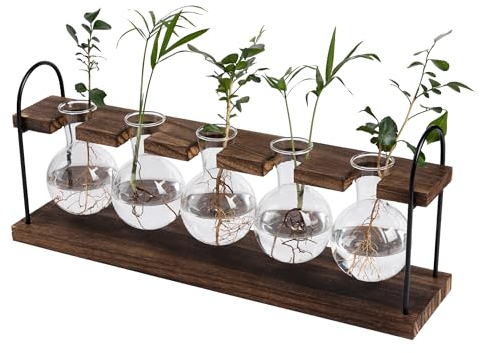 Hyindoor Blumenvase Propagation Station Vermehrungsstation für Pflanzen Hydroponik Glasvase Mit Holzständer Vintage Dekovase Tischvase für Hause Büro Wohnzimmer