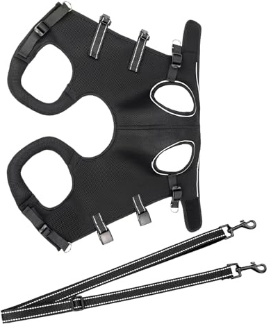 Harnais pour chien à porter - Soutien des jambes et sangle de rééducation pour chiots - Aide au transport respirante pour chiens âgés, entraînement et activités de plein air