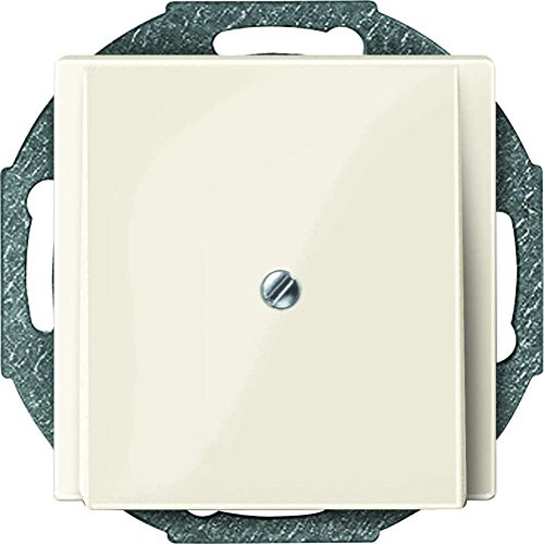 Merten 296344 Zentralplatte Leitungsauslass, weiß glänzend, System M