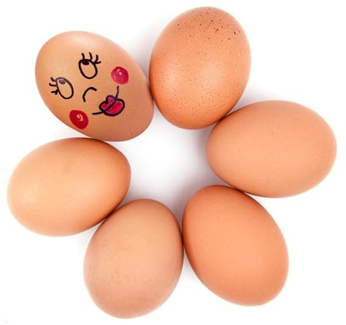 Pizsieat 6 Piezas Huevos de Madera Huevos Falsos, Huevos de Madera Artificiales Que Ayudan a la Puesta, Promueven la Puesta o Previenen el Consumo de Huevos