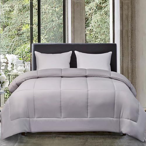 Blue Ridge Home Fashions Comforter Breathable Microfiber Duvet Insert, Summer Cooling Winter Warm Reversible Down Alternative Quilt Comforter for All Season, King, White/Platinum