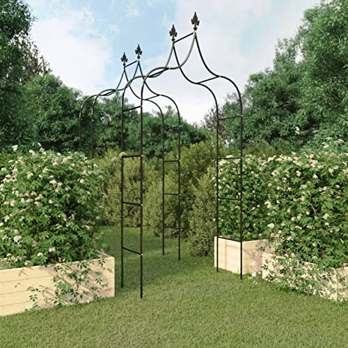 Arcos de jardín 2 uds Acero Negro 120x38x260 cm, Chaduof Arco Jardin Exterior, Rosal Trepador, Arco Boda, Arco para Plantas Trepadoras, Arco Flores
